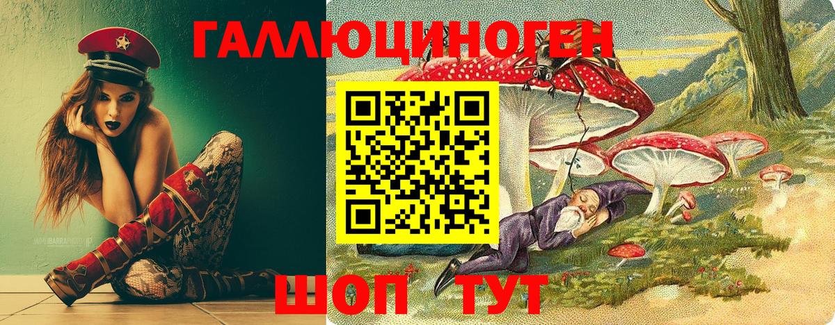 Галлюциногенные грибы MAGIC MUSHROOMS Губкинский