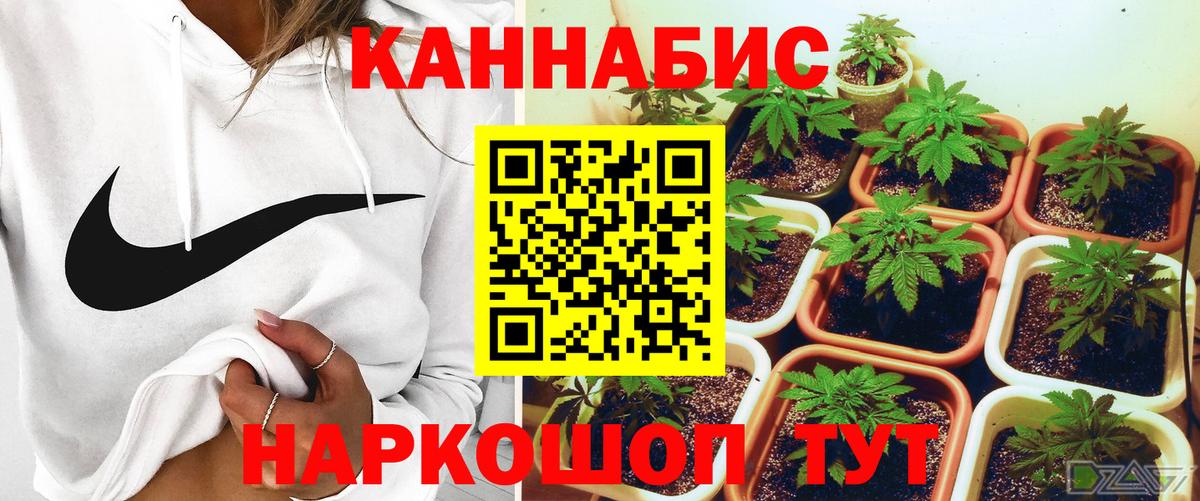 Конопля Bruce Banner  МАРИХУАНА семена  Вход с VPN  Бошки Шишки Amnesia  Губкинский 